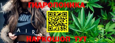 таблы Гусев