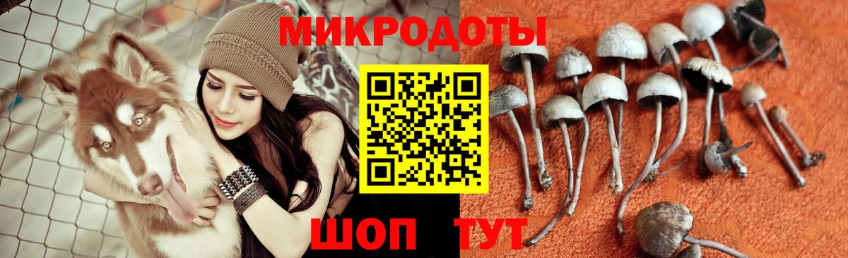 Псилоцибиновые грибы мицелий  Вход с VPN  Хабаровск 